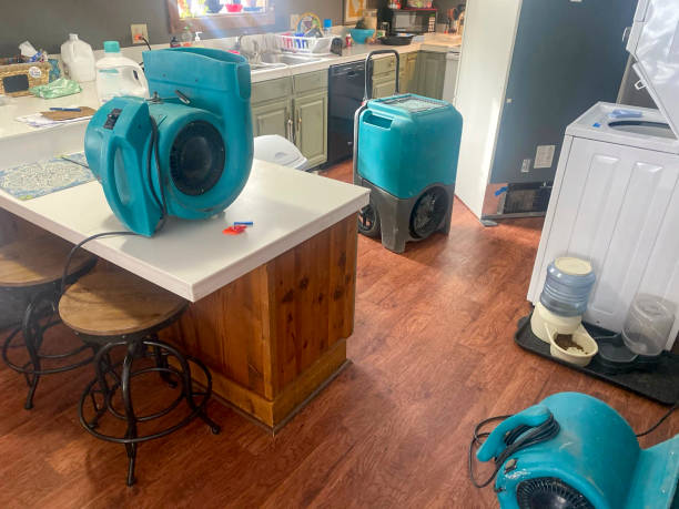 Best Water damage cleanup near me  in Knightsen, CA