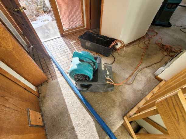 Best 24-hour water damage restoration  in Knightsen, CA