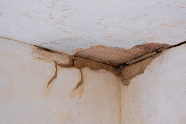 Best Local water damage restoration  in Knightsen, CA