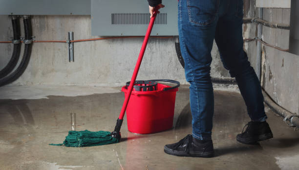 Best Basement water damage restoration  in Knightsen, CA