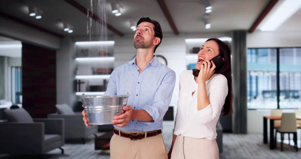 Best Flood restoration services  in Knightsen, CA